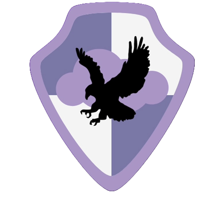 Hawk Logo